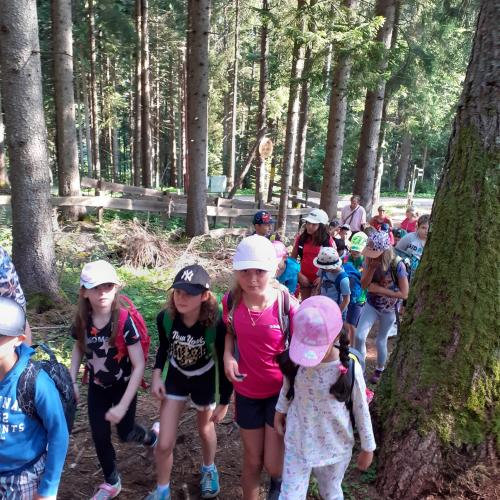 Kinder gehen durch den Wald