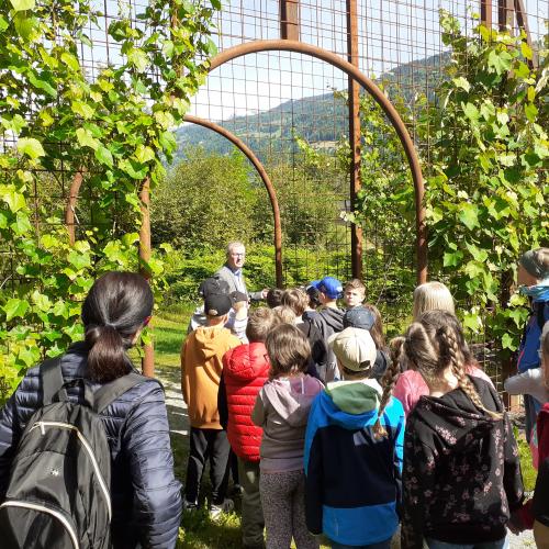Kindergruppe