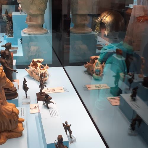 Vitrine in Museum