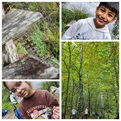 Kinder und Wald