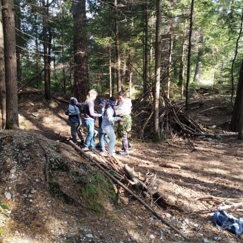 Kinder im Wald