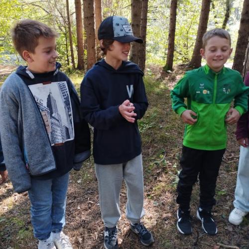 3 Buben im Wald