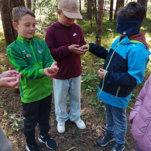 Kinder im Wald