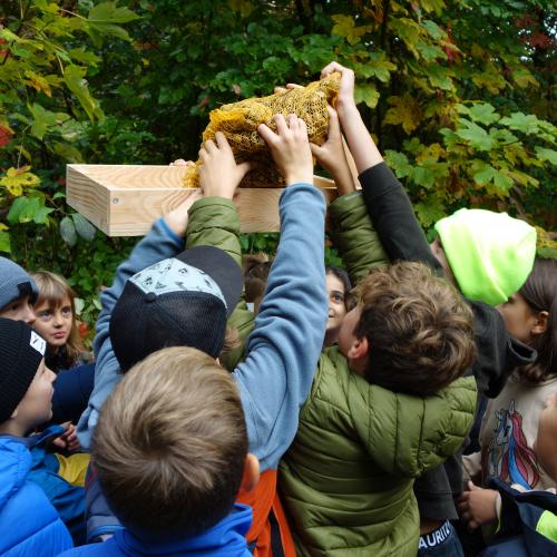 Kinder füllen Eicheln auf Holztisch