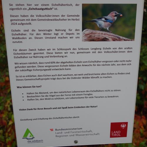 Plakat über Eichelhäher