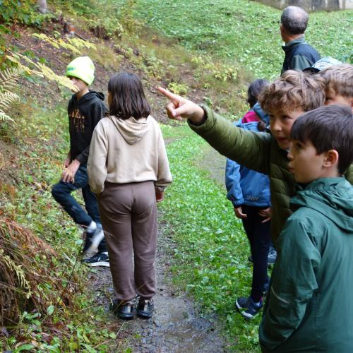 Kinder auf Waldweg