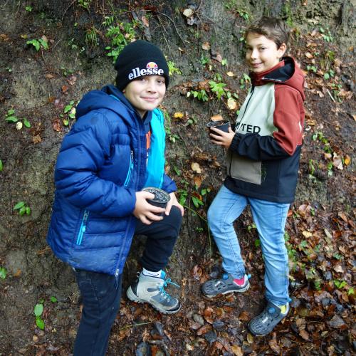 2 Kinder auf Waldweg