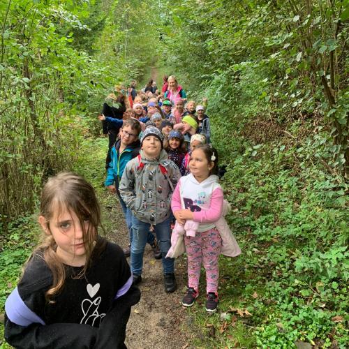 Kinder auf Waldweg