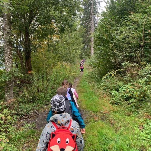 Kinder auf Waldweg