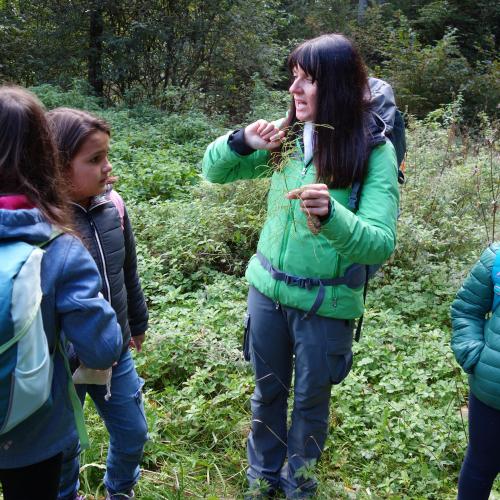 Frau und Kinder im Wald