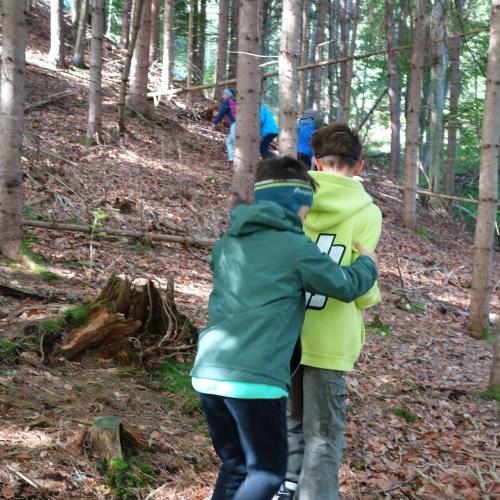 Kinder im Wald