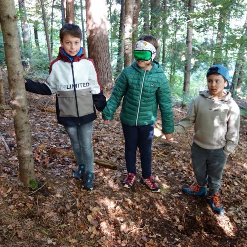 Kinder im Wald