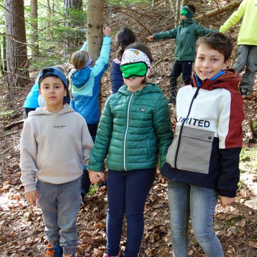 3 Kinder im Wald