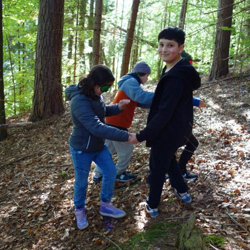 Kinder im Wald