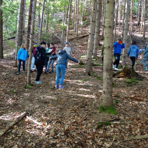 Kinder im Wald