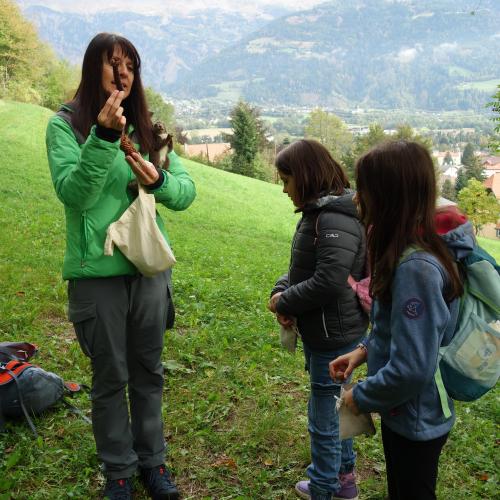 Frau und Kinder auf Wiese