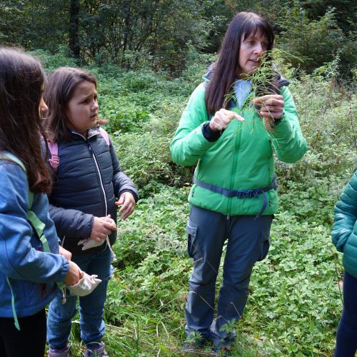 Frau und Kinder im Wald