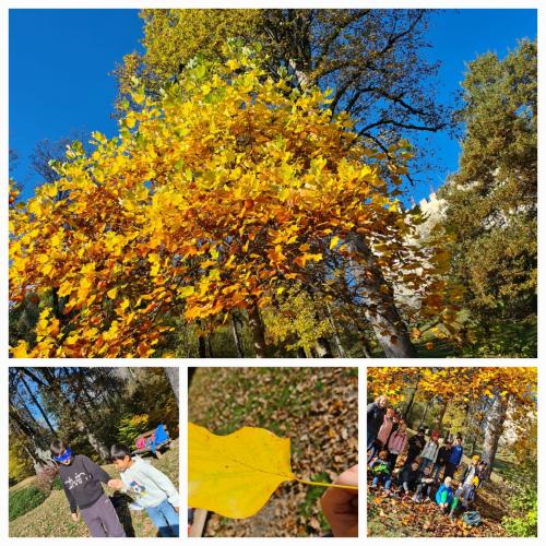 Kinder im Herbstwald