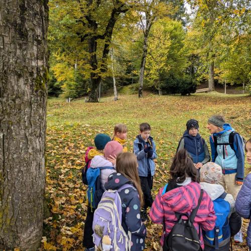 Kinder auf Waldwiese