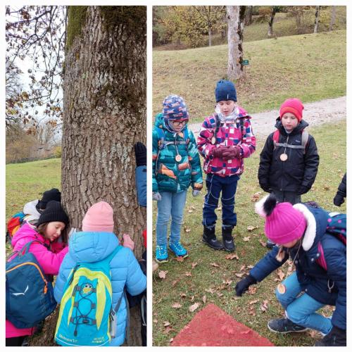 Kinder und Baum