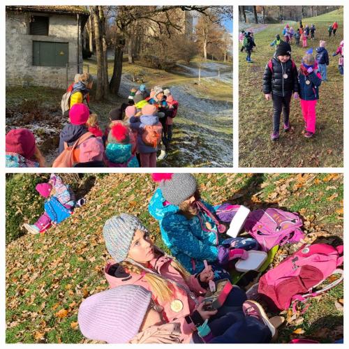 Kinder auf Waldwiese