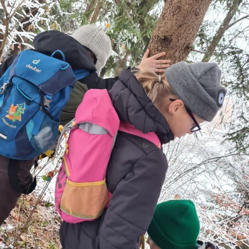 Kinder in Winterwald