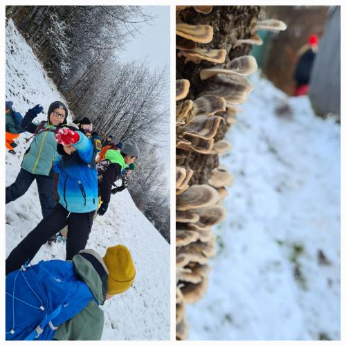 Kinder in Winterwald