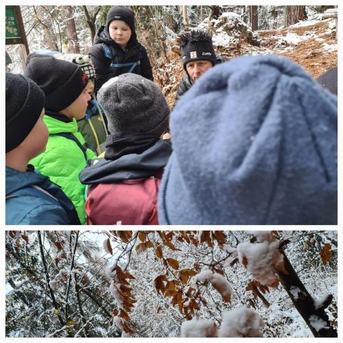 Kinder in Winterwald