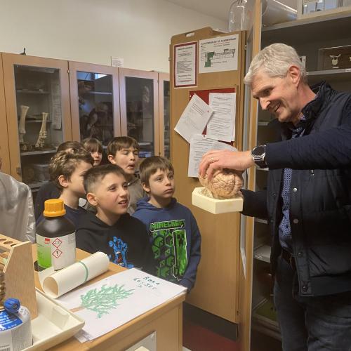 Lehrer zeigt Kindern das Modell eines Gehirns