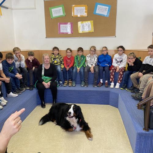 Kinder sitzen im Halbkreis, in der Mitte ist ein Hund