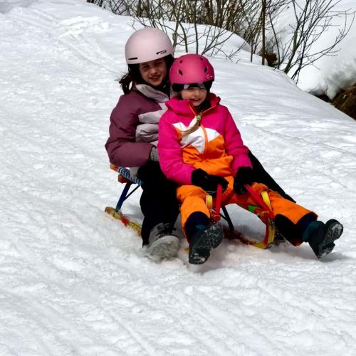 2 Kinder auf Rodel