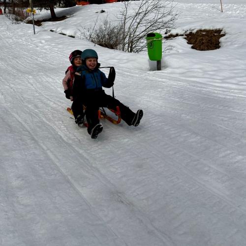 2 Kinder auf Schlitten