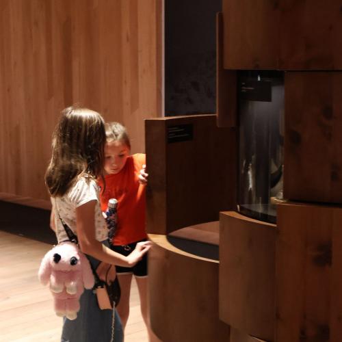 Kinder im Museum