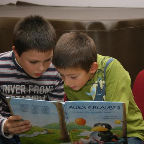 zwei Buben lesen in einem Buch