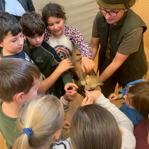 Projekt "Jägerin in der Schule"