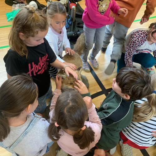 Projekt "Jägerin in der Schule"