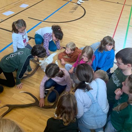 Projekt "Jägerin in der Schule"