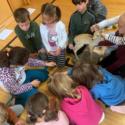 Projekt "Jägerin in der Schule"