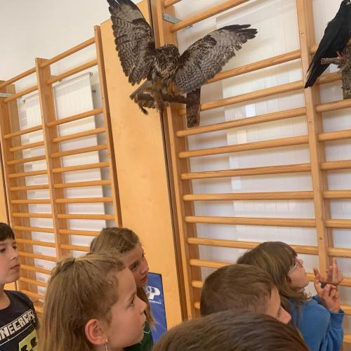 Projekt "Jägerin in der Schule"