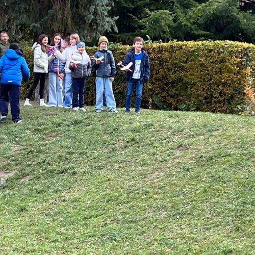 Steckgleiter in Werken 2