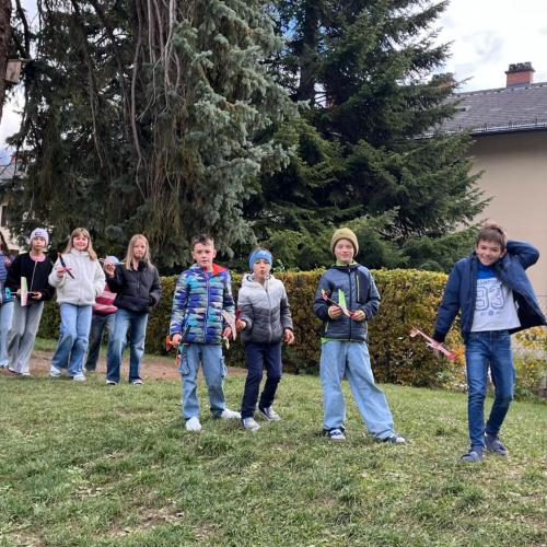 Steckgleiter in Werken 4