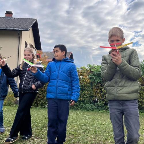 Steckgleiter in Werken 5