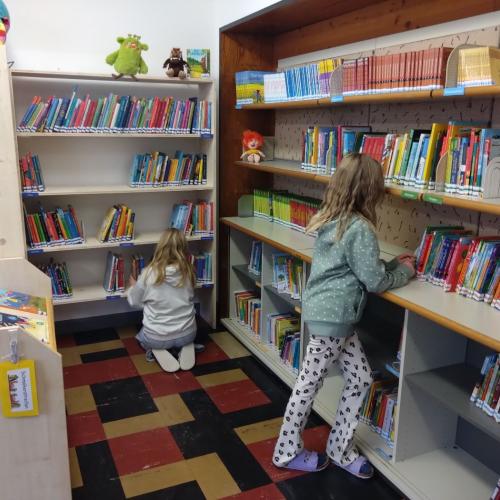 Bücherei 3
