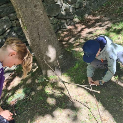 Werken in der Natur
