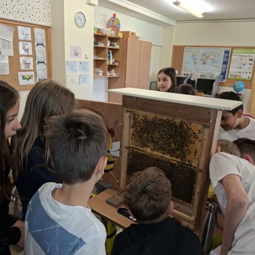 Bienen