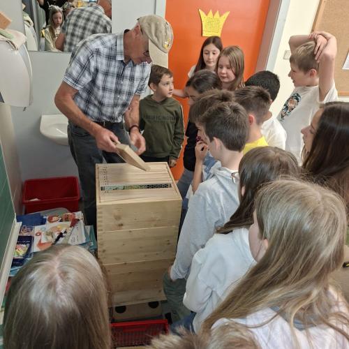 Bienen