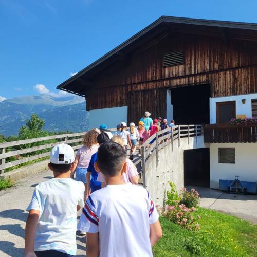 Besuch am Bauernhof