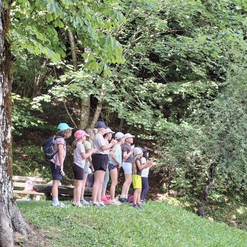 Wandertag 3. Klassen