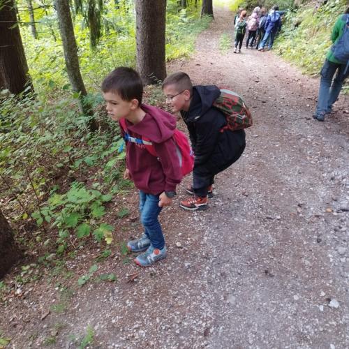 Nationalpark 2a