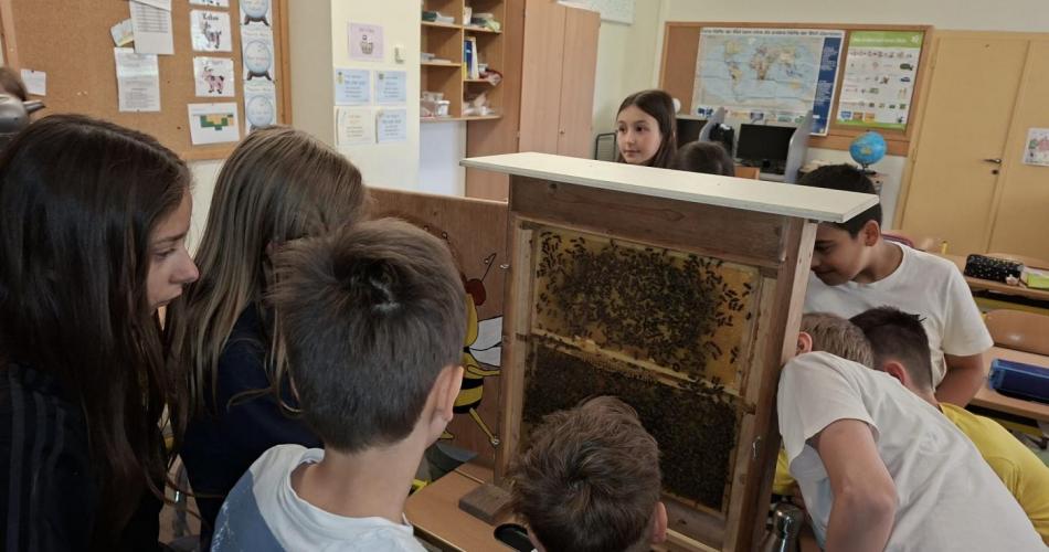 Bienen